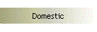 Domestic